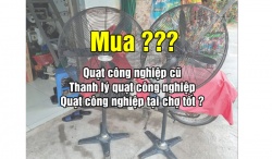 anh dai dien quat cu