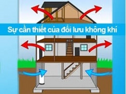 doi luu