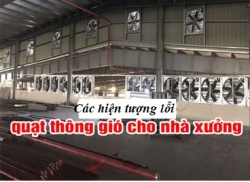 loi quat 1