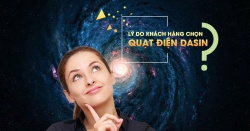 ly do cho n qua t die n dasin 1